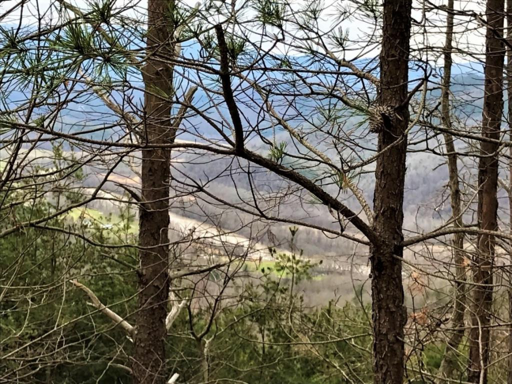 - Hopi Trail Del Rio, TN 37727 - Photo 1 of 2 Photo 1