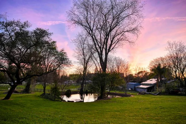 a view of a backyard with large trees and a barn