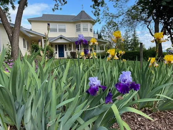 $1,400,000 | 9240 Rock Springs Road, Newcastle, CA 95658