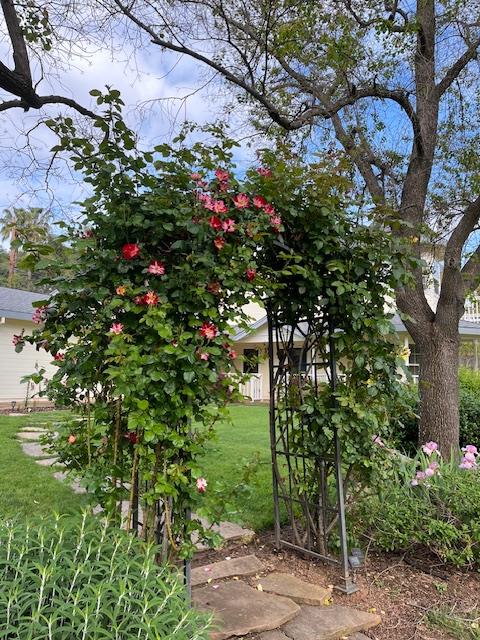 9240 Rock Springs Road Newcastle, CA 95658 - Photo 63 of 84