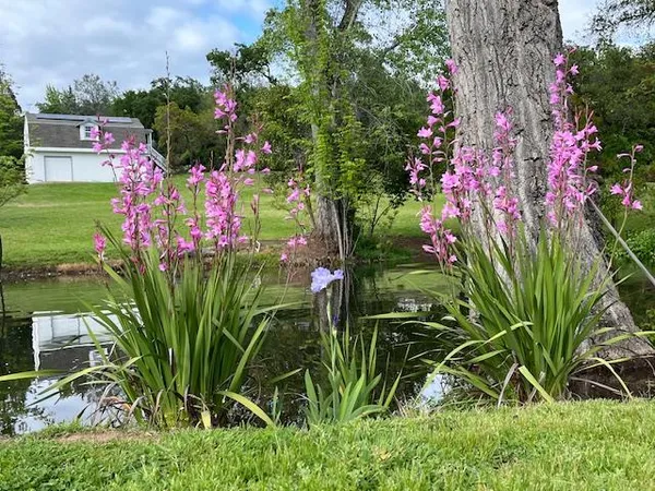 $1,400,000 | 9240 Rock Springs Road, Newcastle, CA 95658