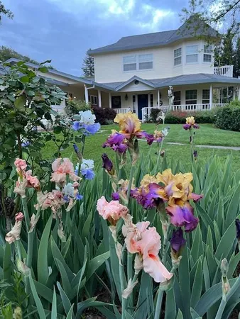 $1,400,000 | 9240 Rock Springs Road, Newcastle, CA 95658