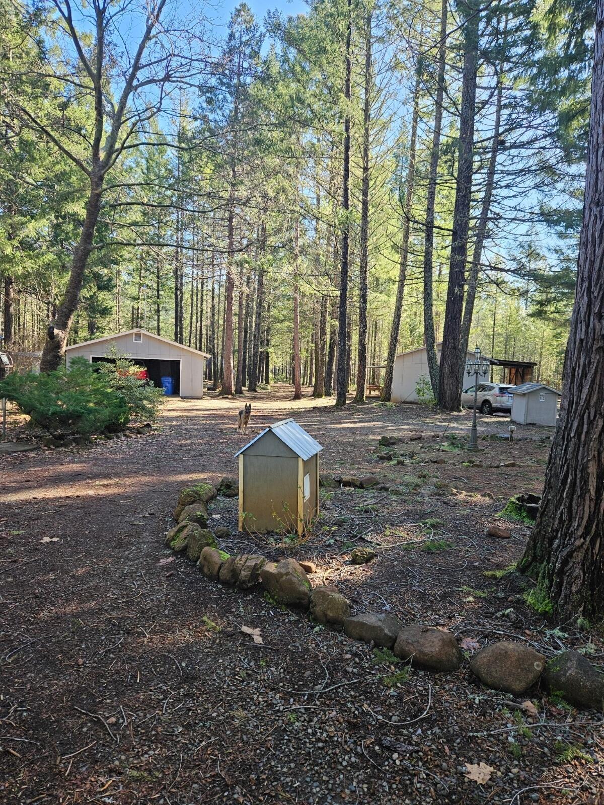 1005 Naue Way Cave Junction, OR 97523 - Photo 17 of 26 IMG_9459 Mark porter