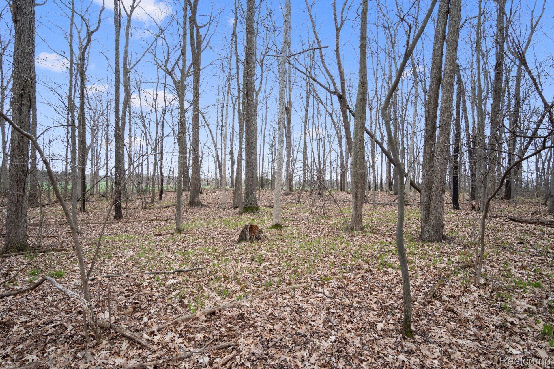Vl Vl Center Road Linden, MI 48451 - Photo 5 of 16 5.jpg
