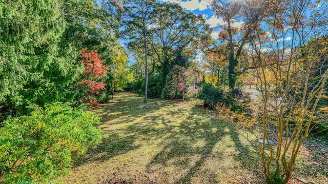 a view of outdoor space with garden and trees