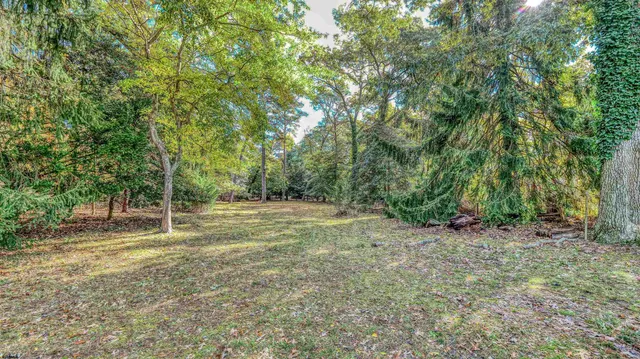 a view of outdoor space and yard