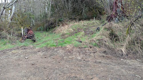 Vl East Beaver Creek Road Beaver, OR 97112 - Photo 3 of 5 IMG_20160308_143720264