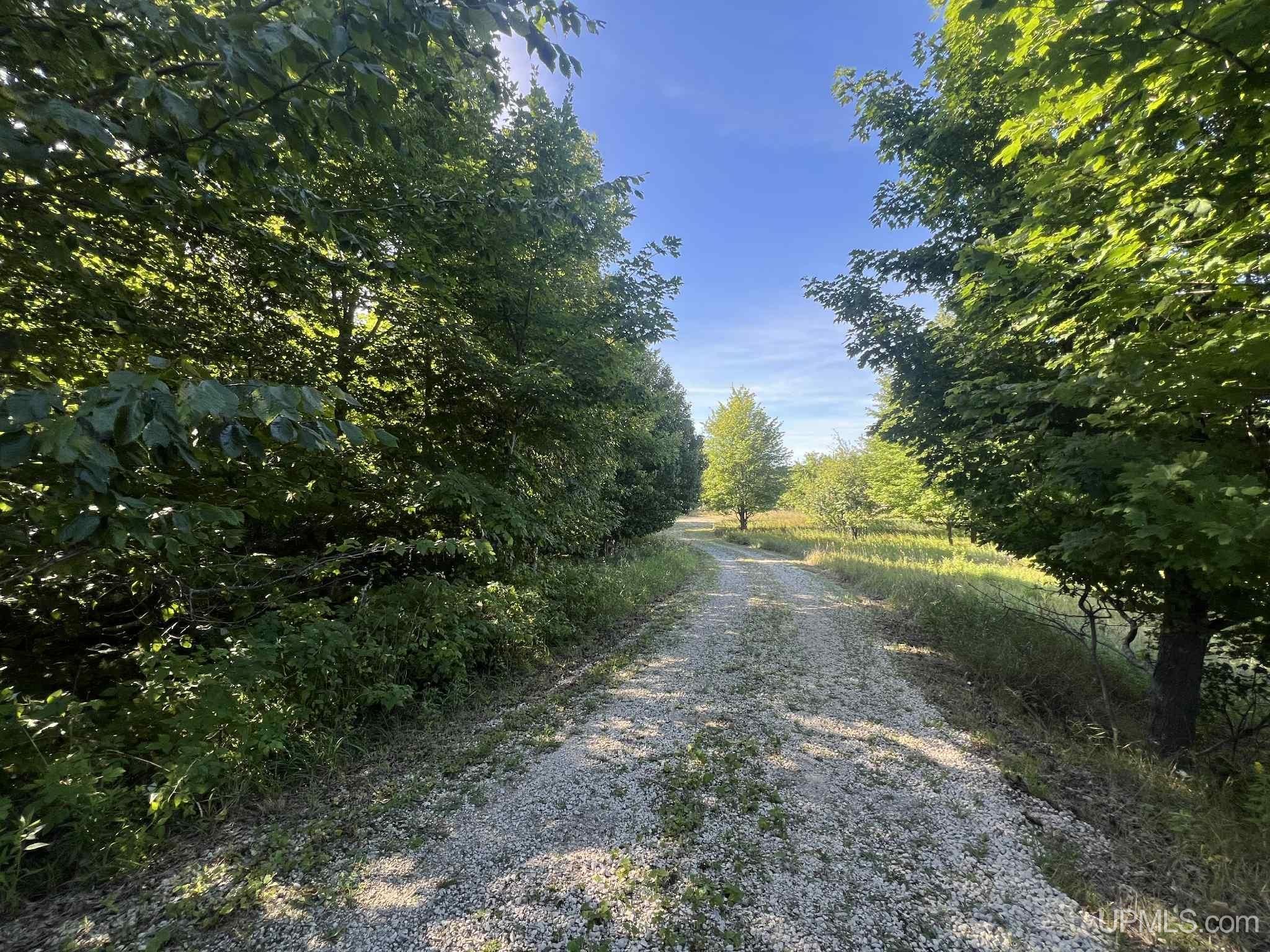 Tbd II Road Garden, MI 49835 - Photo 20 of 42