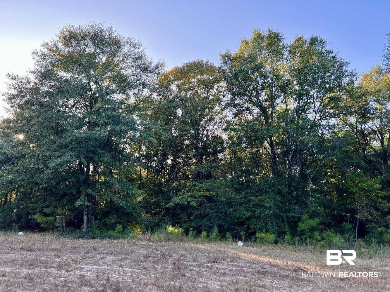 0 Howell Drive Mount Vernon, AL 36560 - Photo 20 of 50