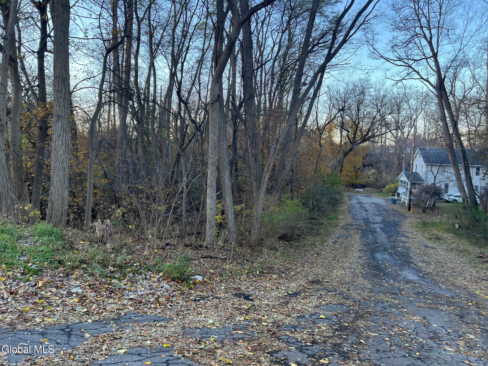 302 Olean Schenectady, NY 12306 - Photo 2 of 4 Side of Property