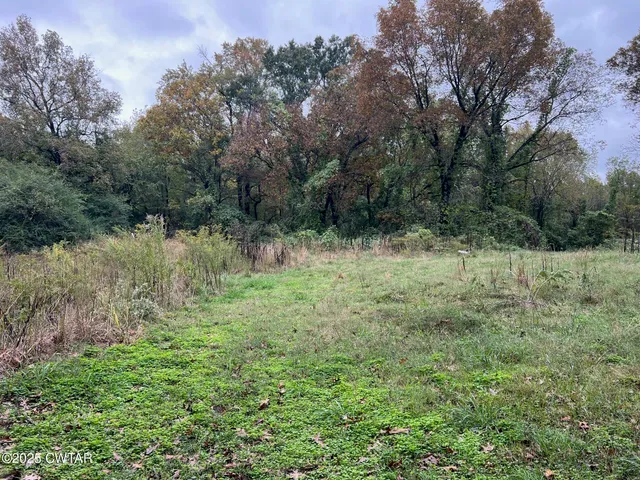 a view of a yard with a tree