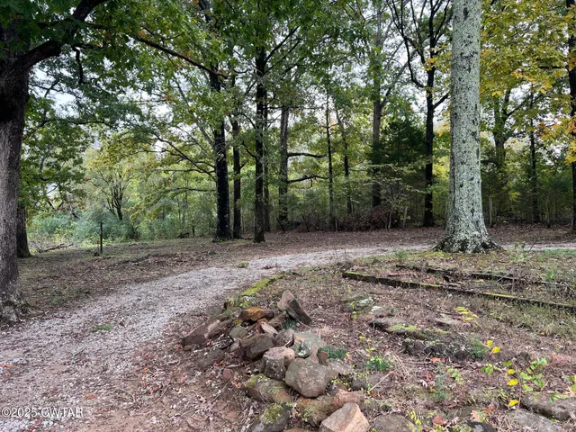 a view of a yard with a tree