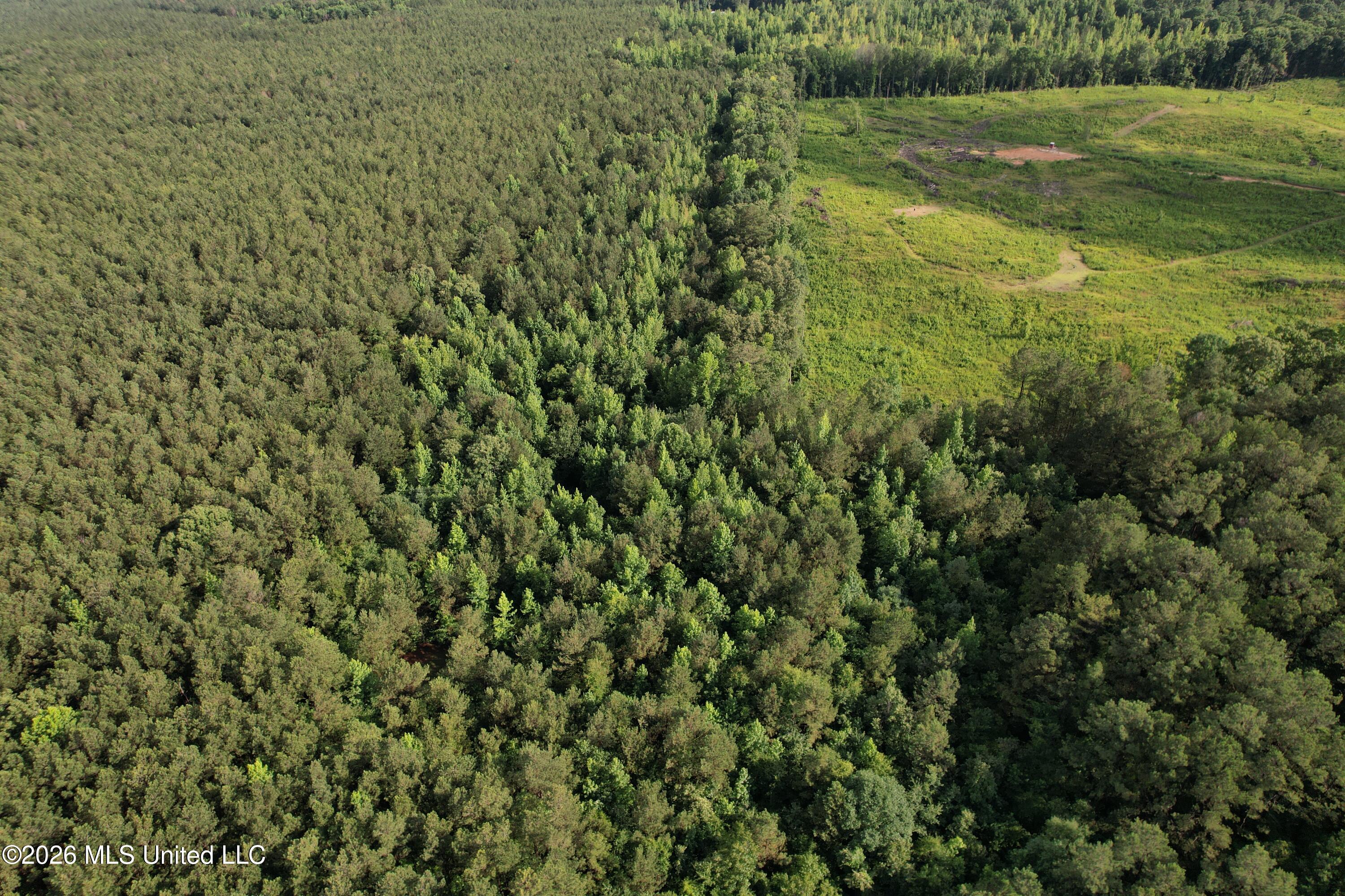 2136 Co Road McCool, MS 39108 - Photo 23 of 29 dji_fly_20260616_172404_137_178213276732
