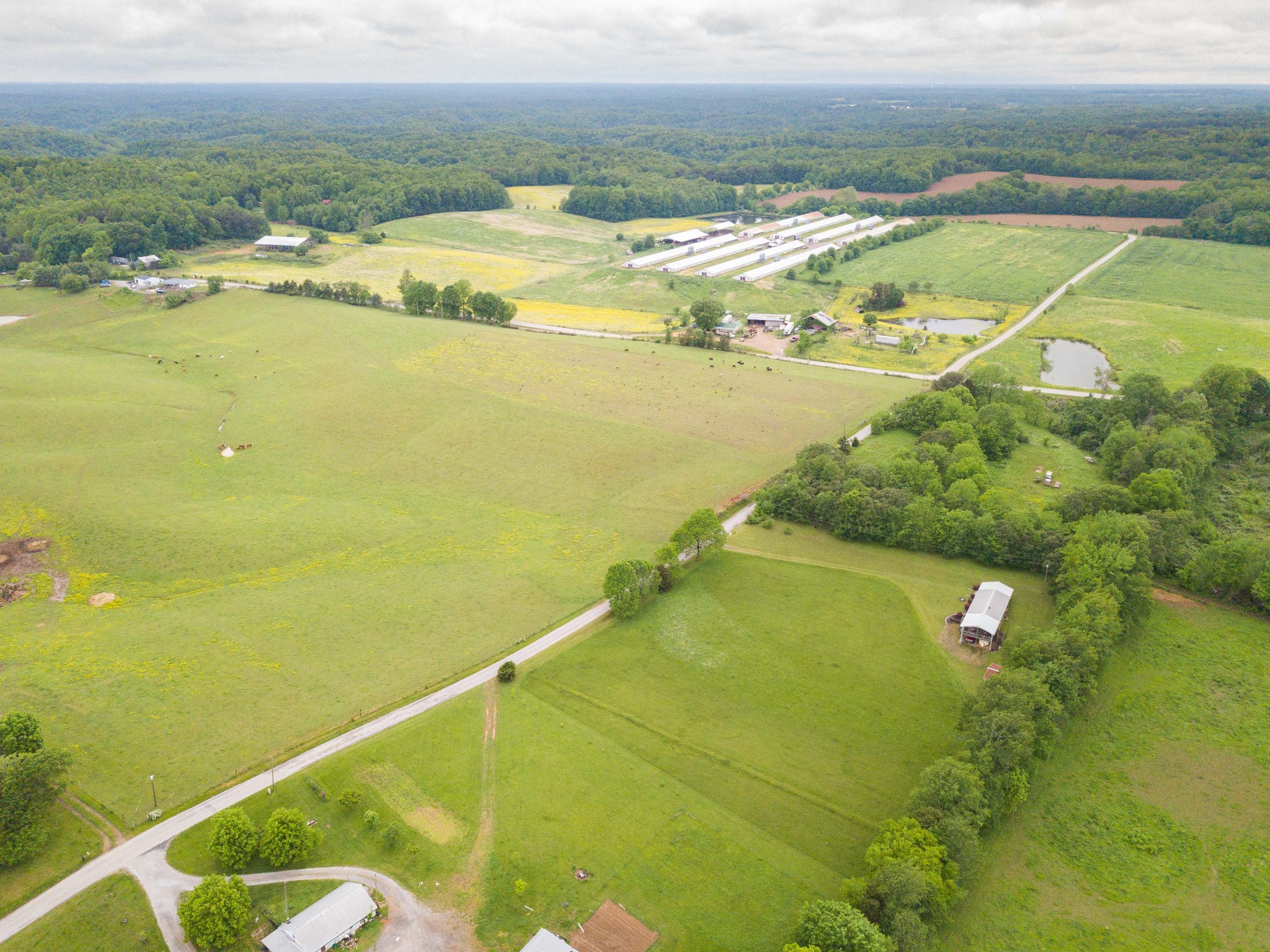 3270 Pricetown Road Moss, TN 38575 - Photo 3 of 45 Gallery Image 3