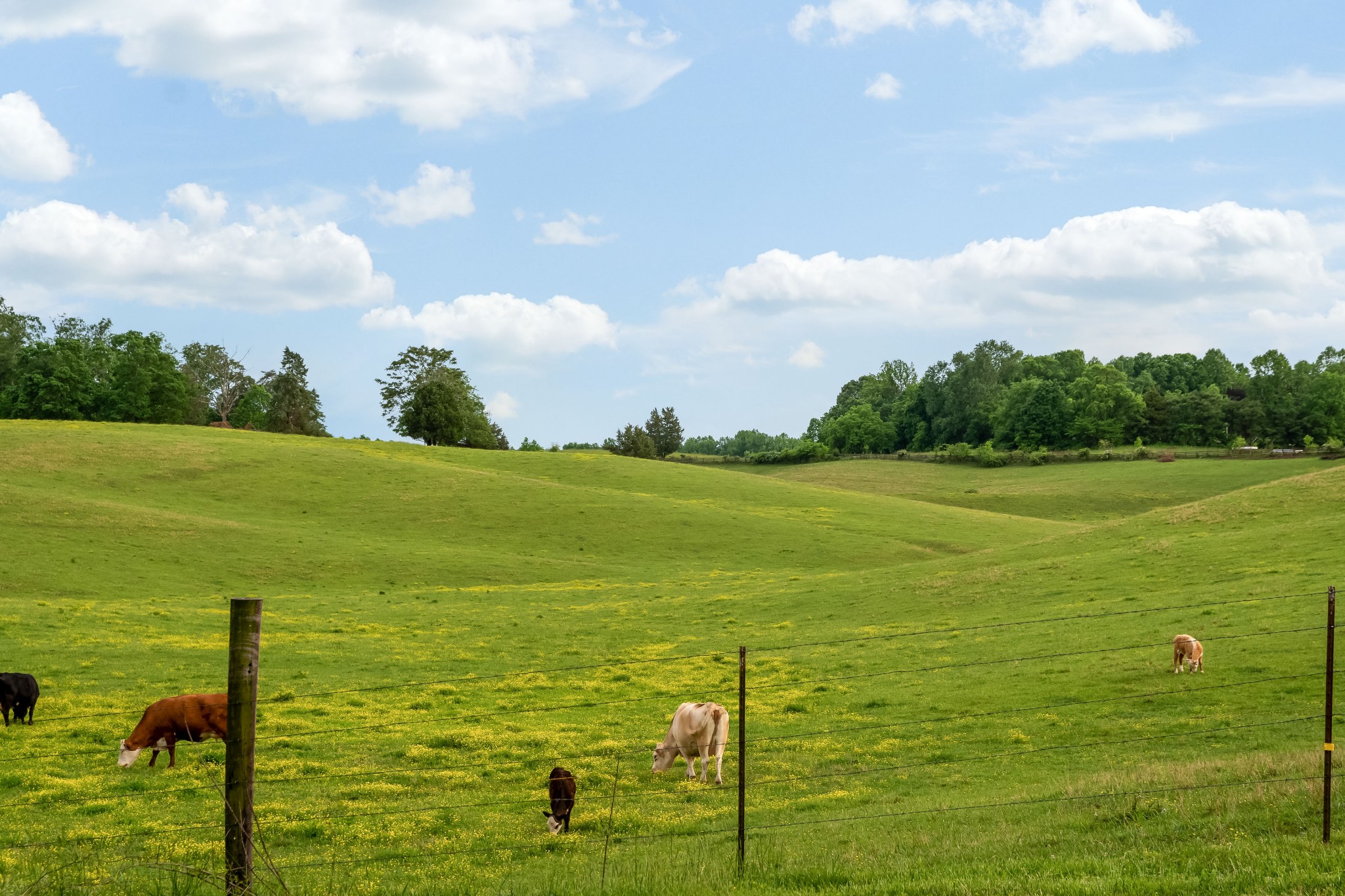 3270 Pricetown Road Moss, TN 38575 - Photo 44 of 45 Gallery Image 44