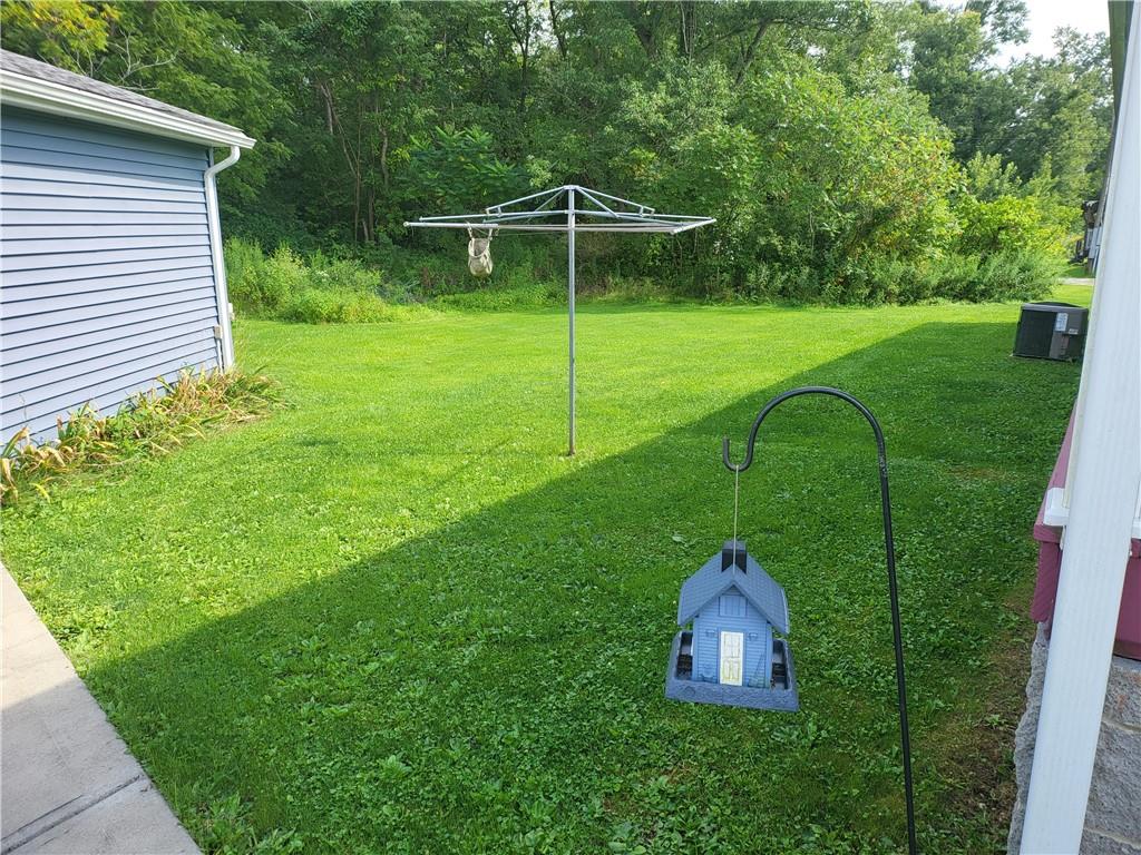 Spacious back yard