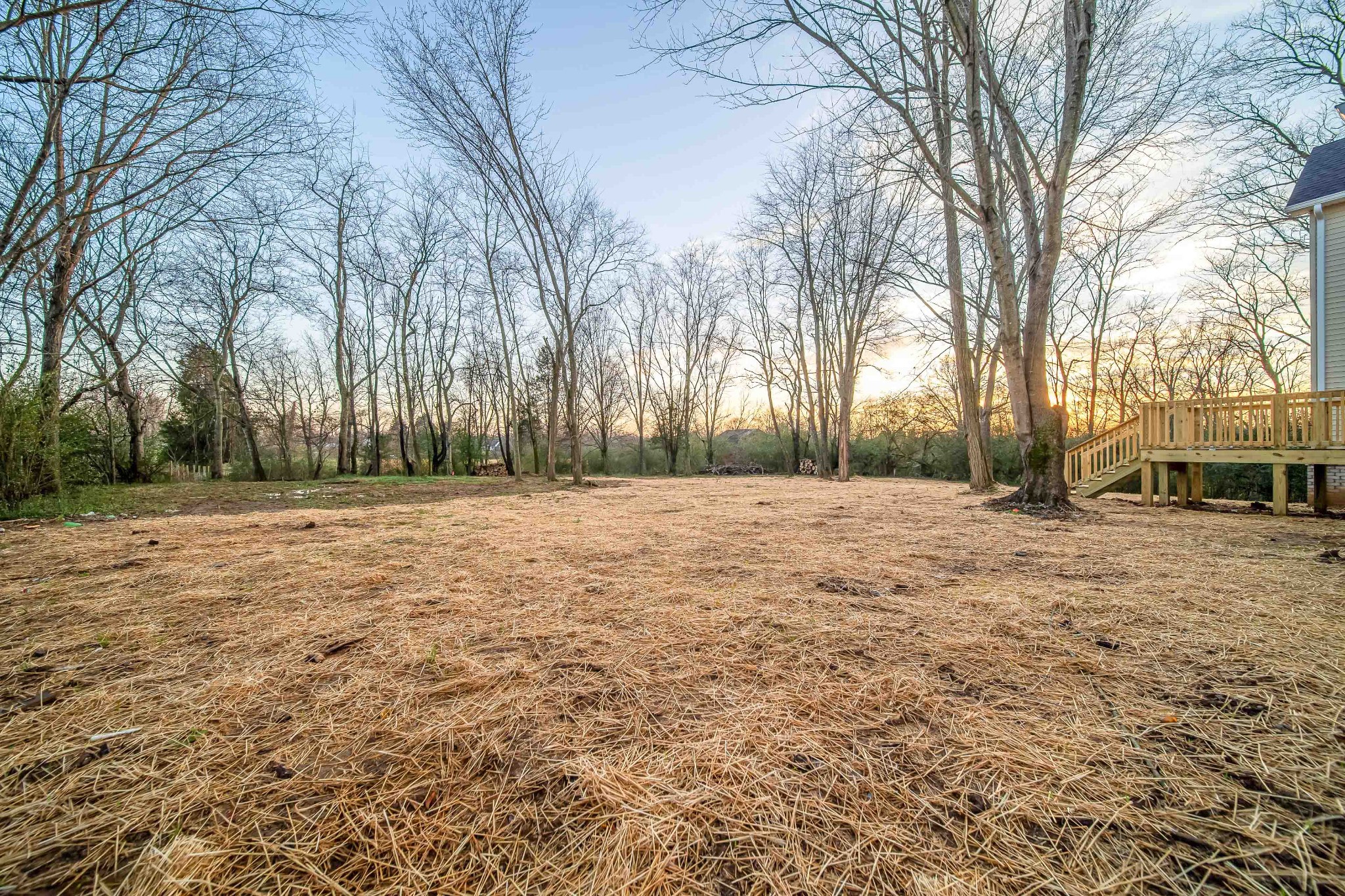 350 Fountainhead Road Portland, TN 37148 - Photo 34 of 36 a view of outdoor space with deck and trees