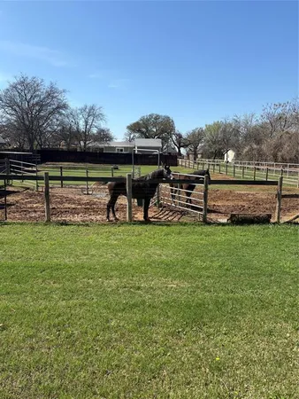 a view of a park with large trees