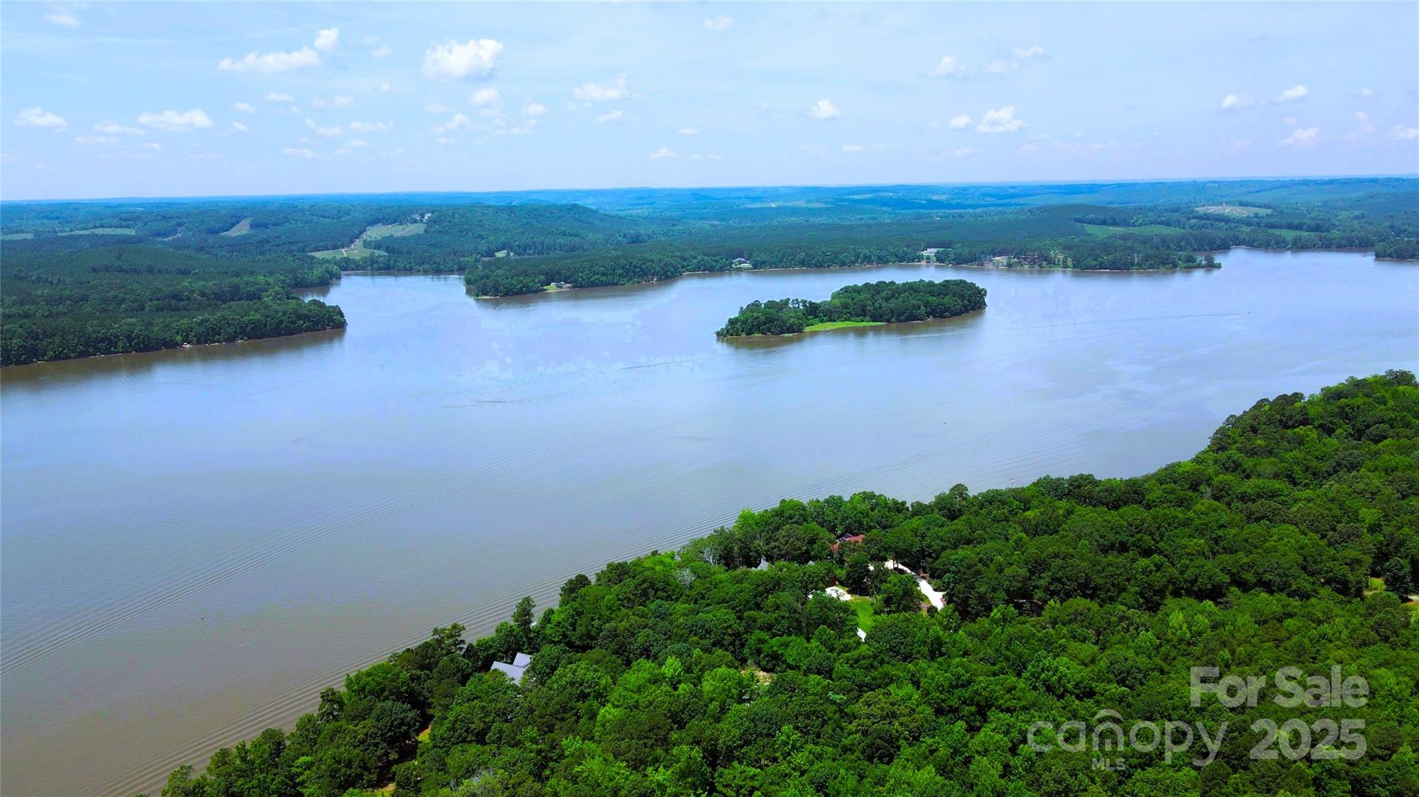 140 North State Lane Rockingham, NC 28379 - Photo 15 of 15 a view of a lake with a yard