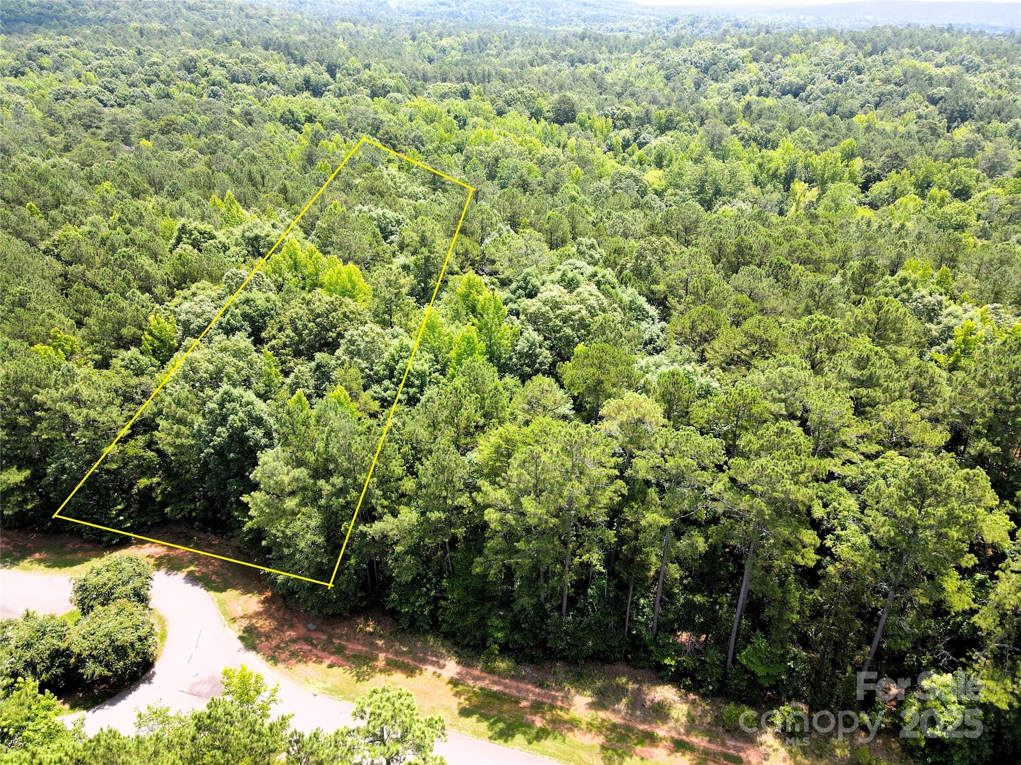 140 North State Lane Rockingham, NC 28379 - Photo 6 of 15 a view of a lush green forest