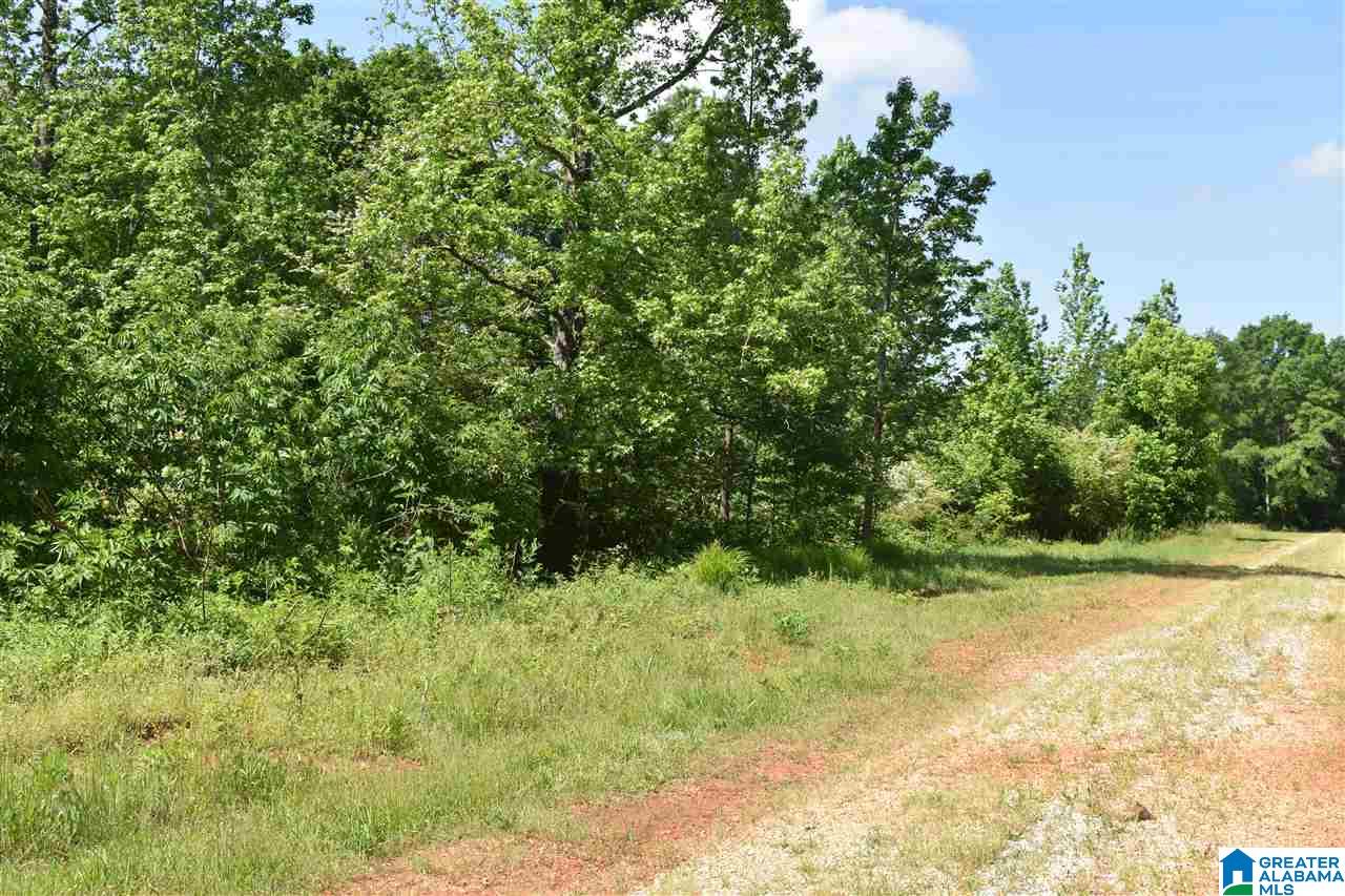 Lot 41 County Road 264, Unit RIVER BREEZE ESTATES Wedowee, AL 36278 - Photo 4 of 16