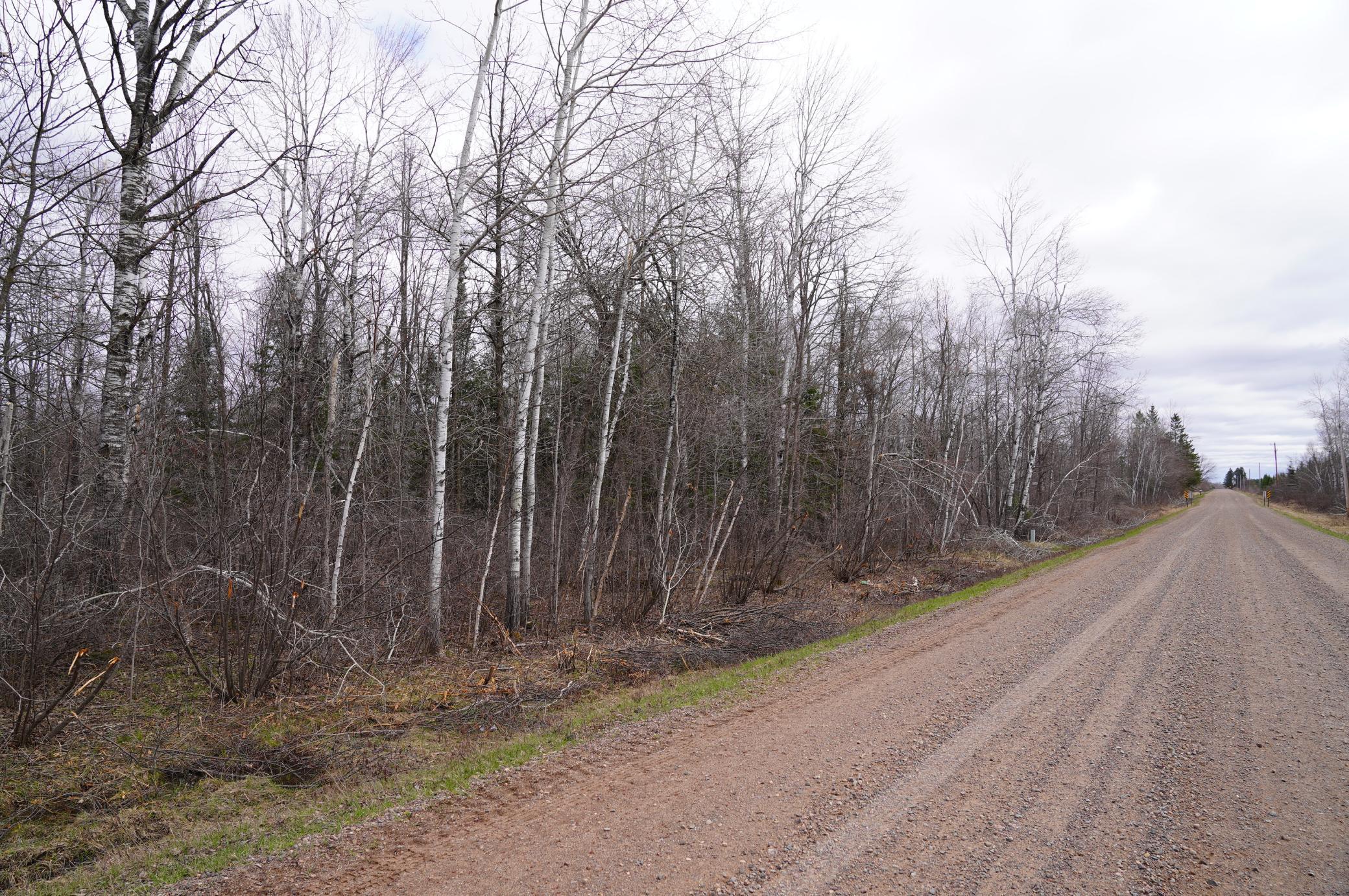 0 Adams Road Bruce, WI 54819 - Photo 1 of 1