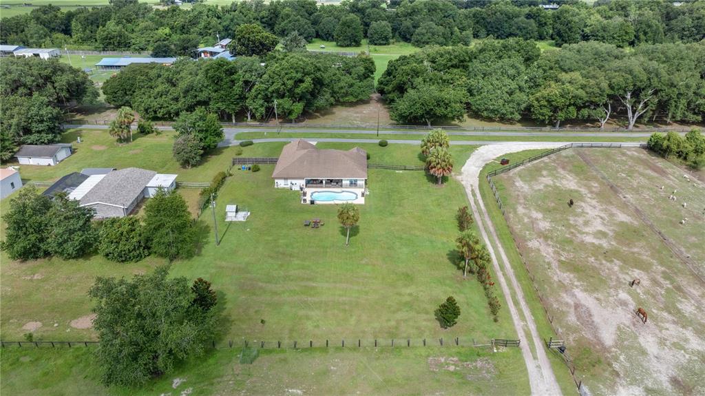 13783 Southeast 8th Court Ocala, FL 34480 - Photo 9 of 47 a view of a swimming pool and trees in the background