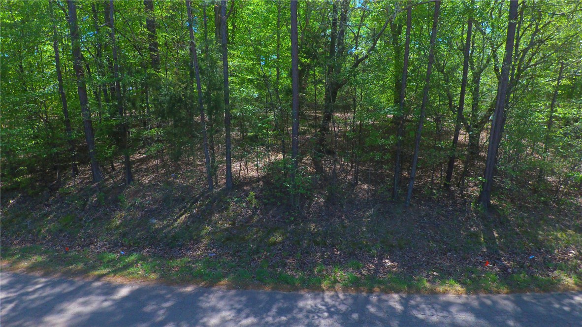 0 Lake Secession Road Abbeville, SC 29620 - Photo 2 of 2