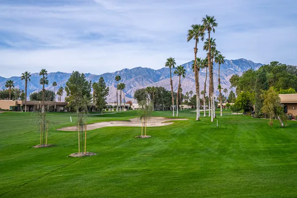 a view of a park with a houses