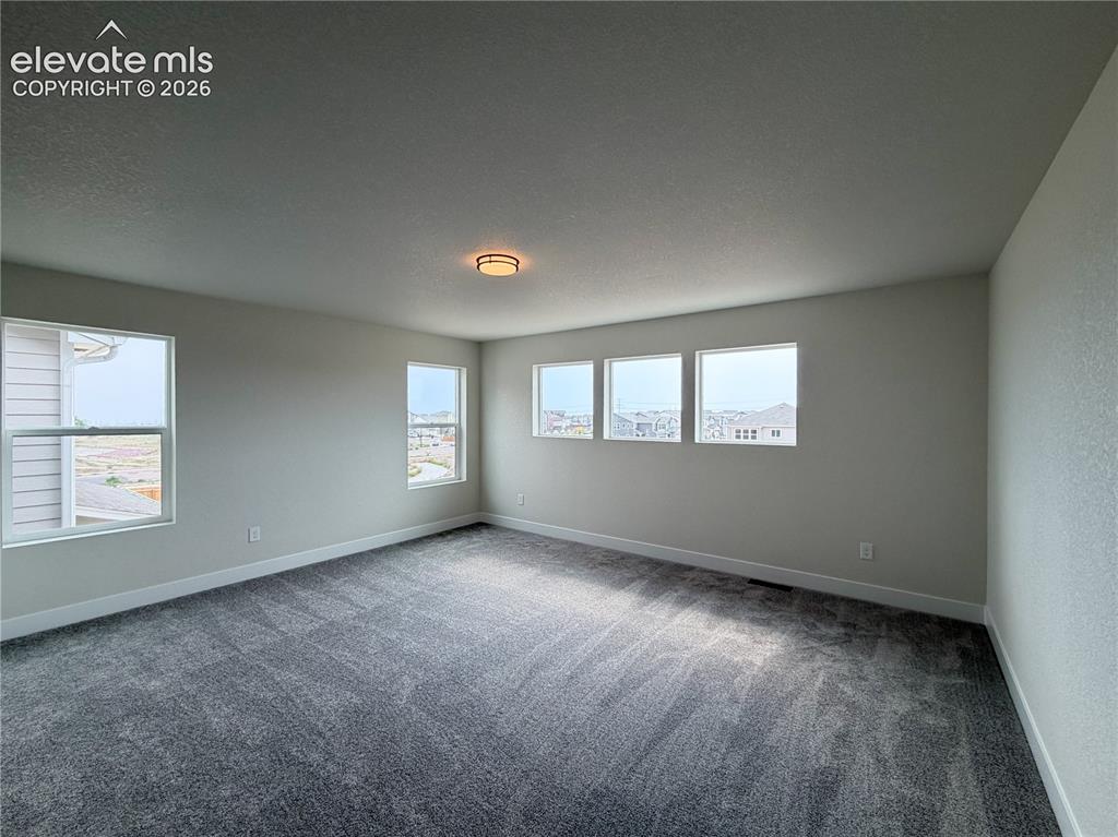 8222 Lemon Grass Road Falcon, CO 80831 - Photo 21 of 40