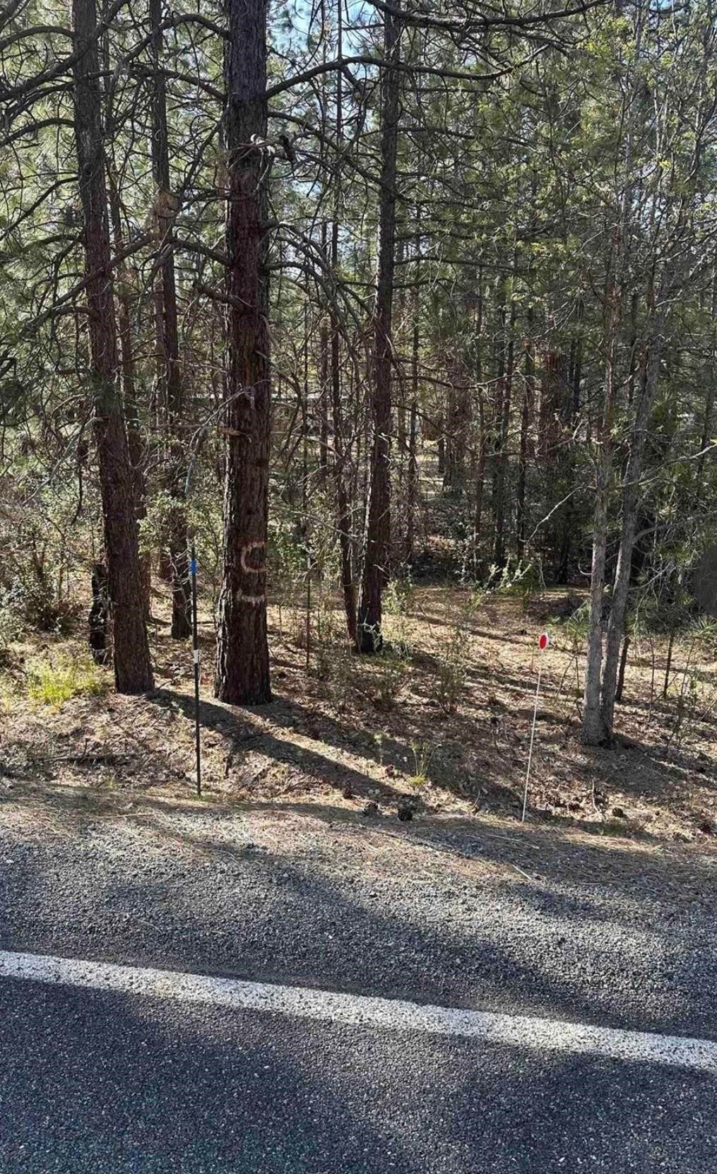 5711 Scott River Road Fort Jones, CA 96032 - Photo 3 of 5 Gallery Image 3