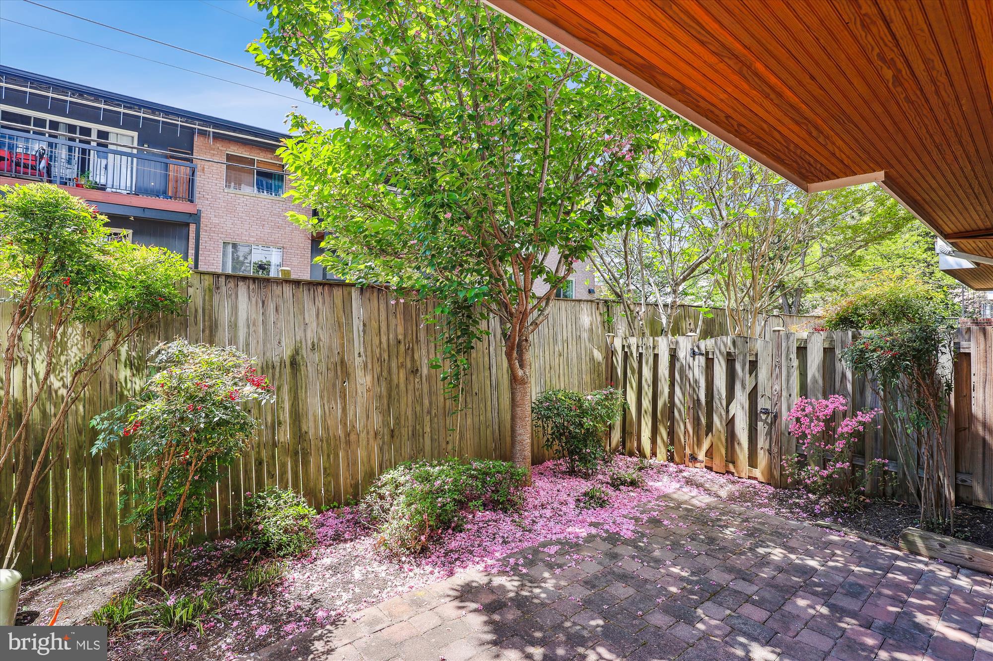229 Locust Street Southeast, Unit 3 Vienna, VA 22180 - Photo 49 of 57 a view of a backyard with plants and large trees