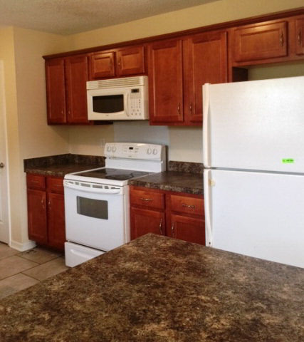 12250 Moon Glow Street Foley, AL 36535 - Photo 3 of 11 Kitchen 2