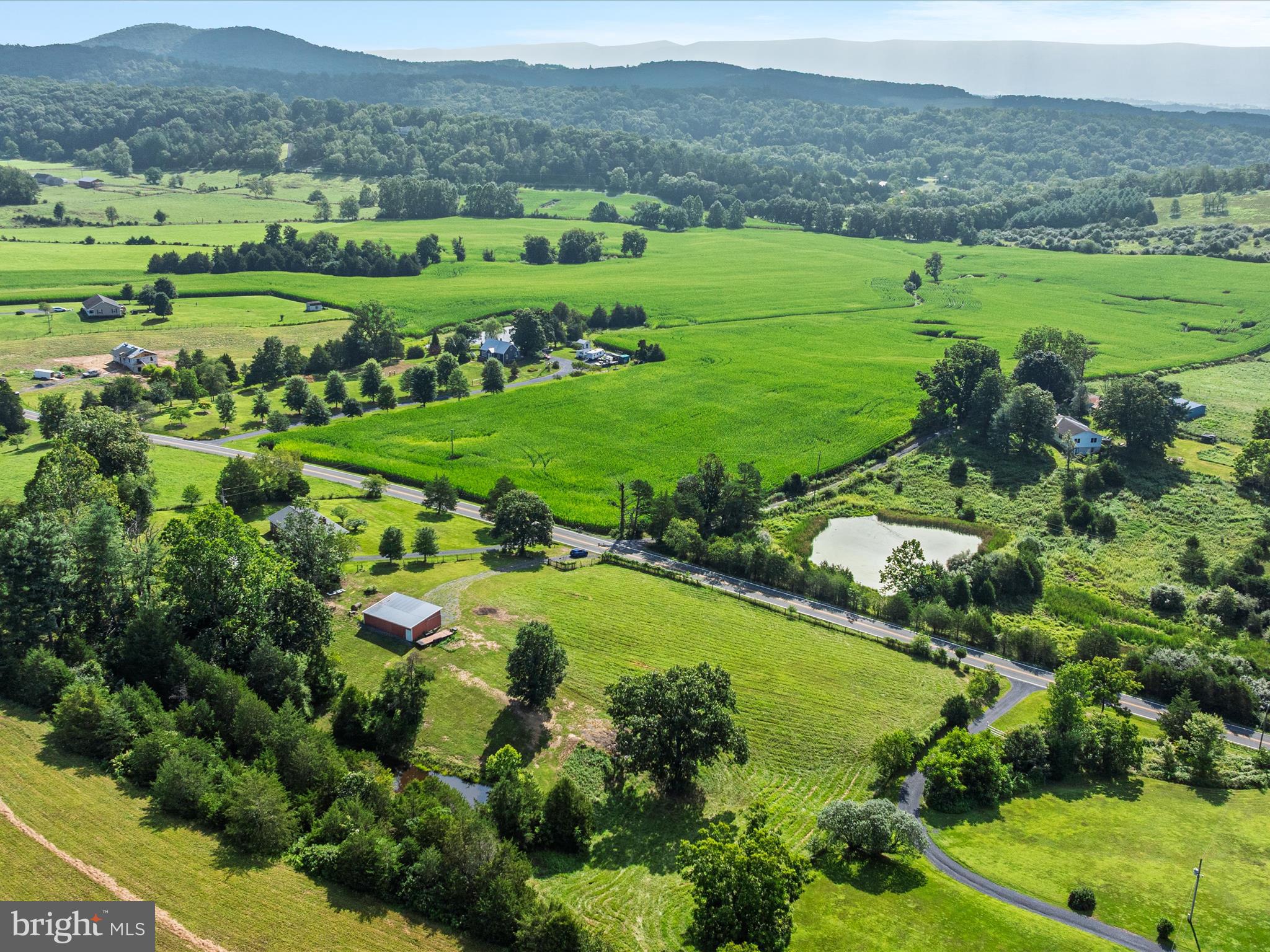 Senedo Mount Jackson, VA 22842 - Photo 11 of 16 a view of a lush green field with lots of plants and flowers