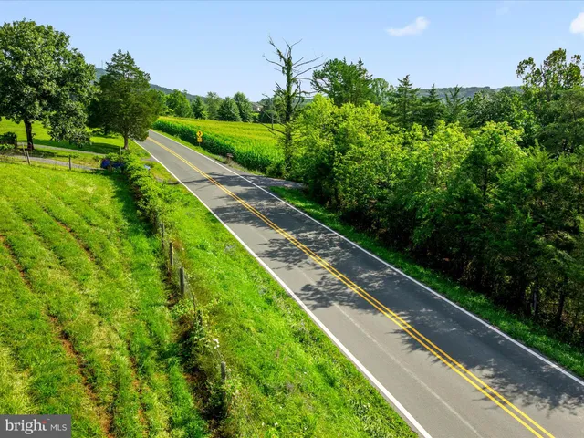 a view of a yard with potted plants