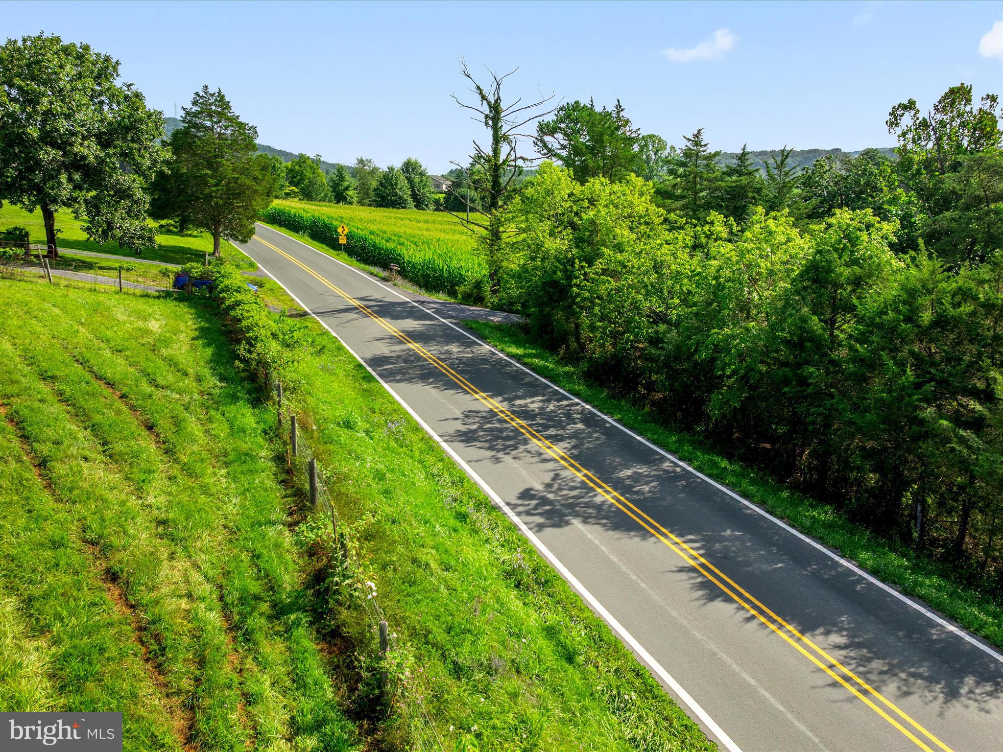 Senedo Mount Jackson, VA 22842 - Photo 16 of 16 a view of a yard with potted plants
