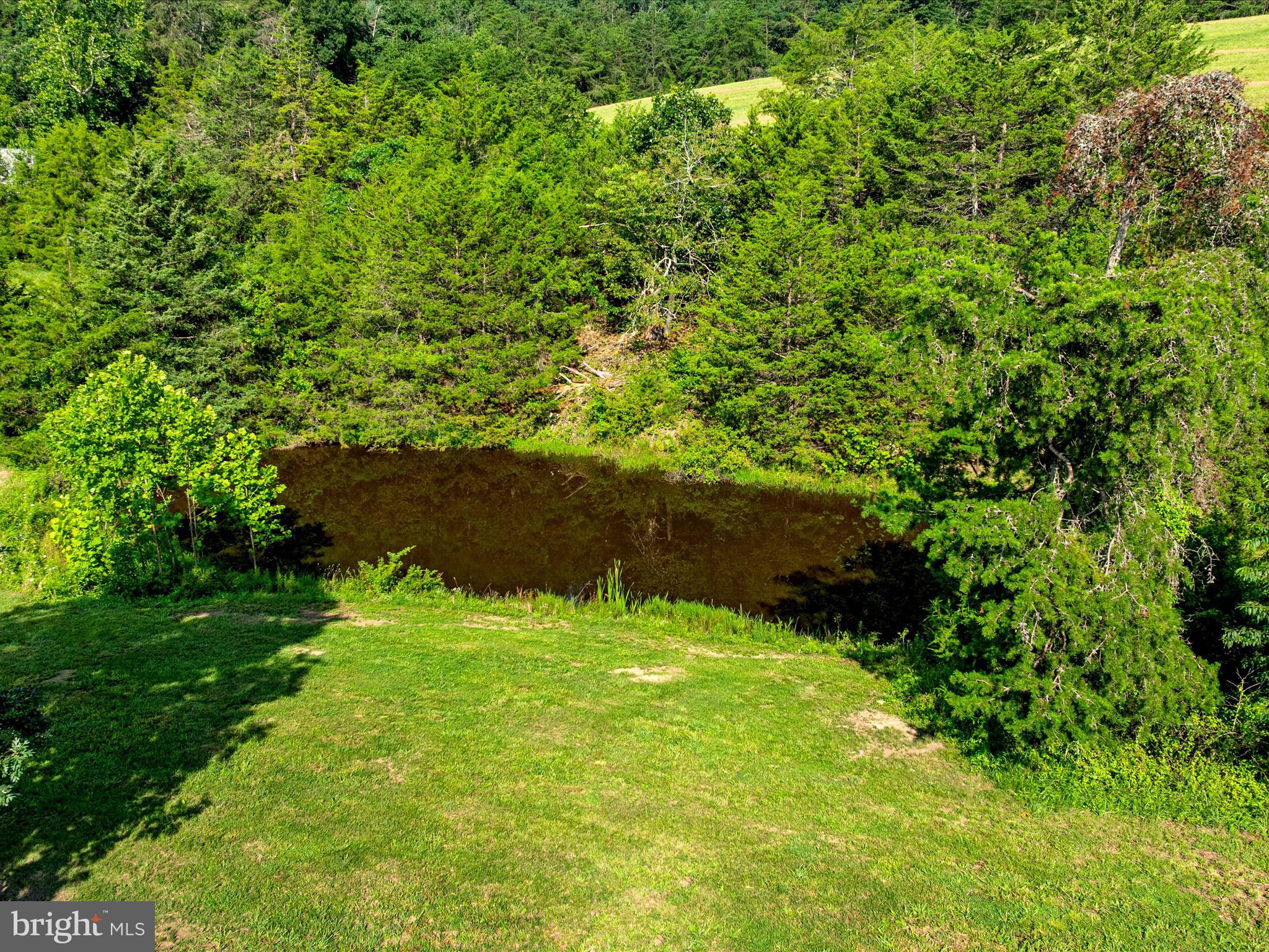 Senedo Mount Jackson, VA 22842 - Photo 8 of 16 a backyard of a house with lots of green space