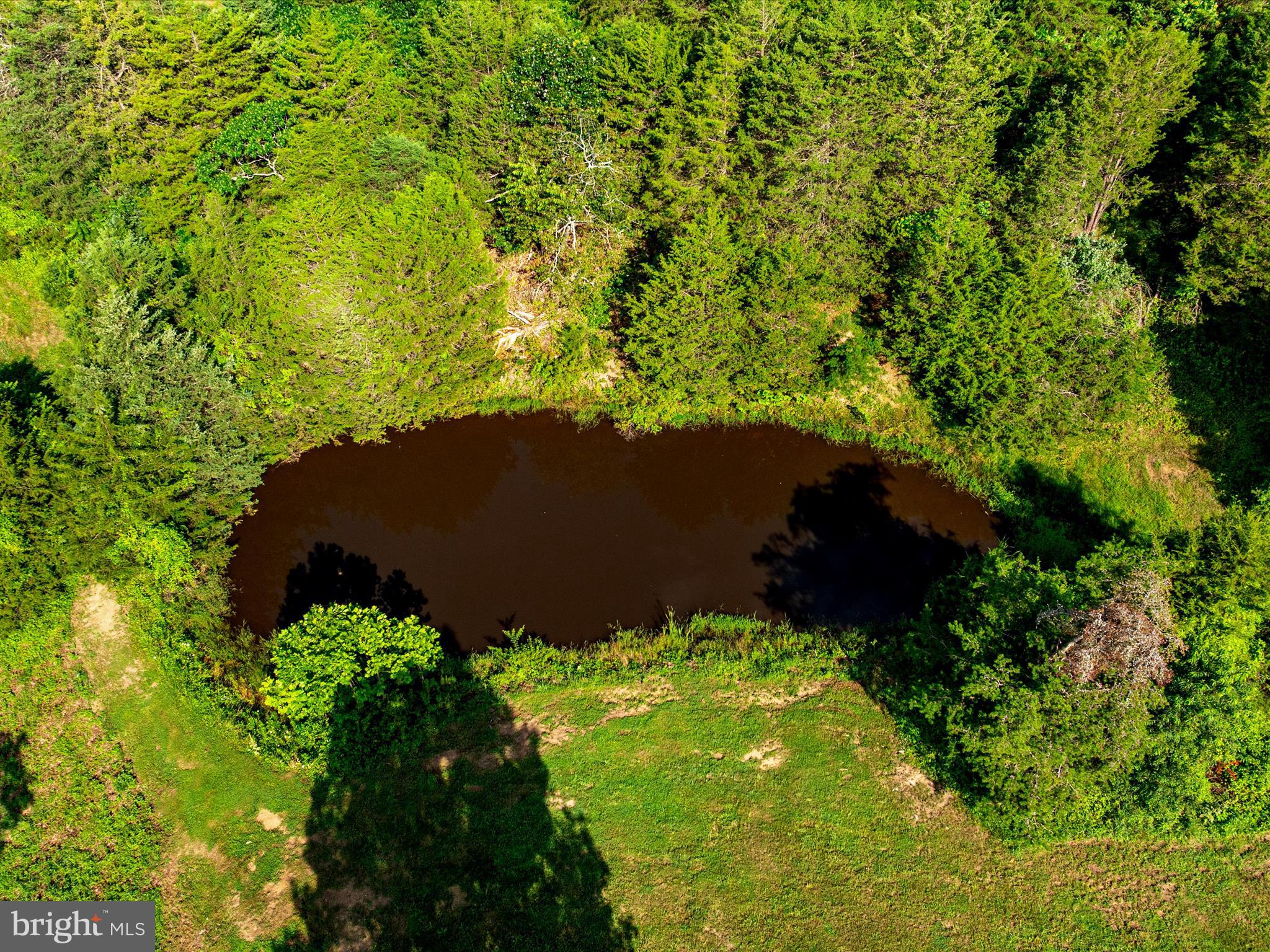 Senedo Mount Jackson, VA 22842 - Photo 9 of 16 a view of a garden