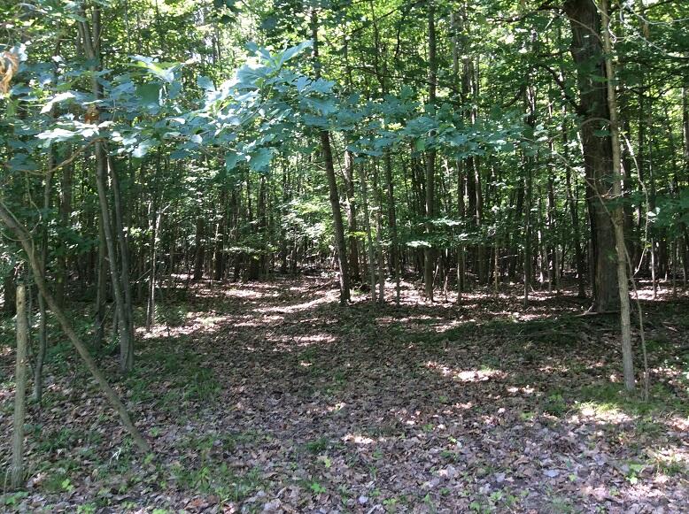 3800 South Castor Road Coleman, MI 48618 - Photo 12 of 34
