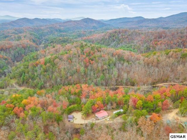 4357 Wilhite Road Cosby, TN 37722 - Photo 30 of 35 Gallery Image 30