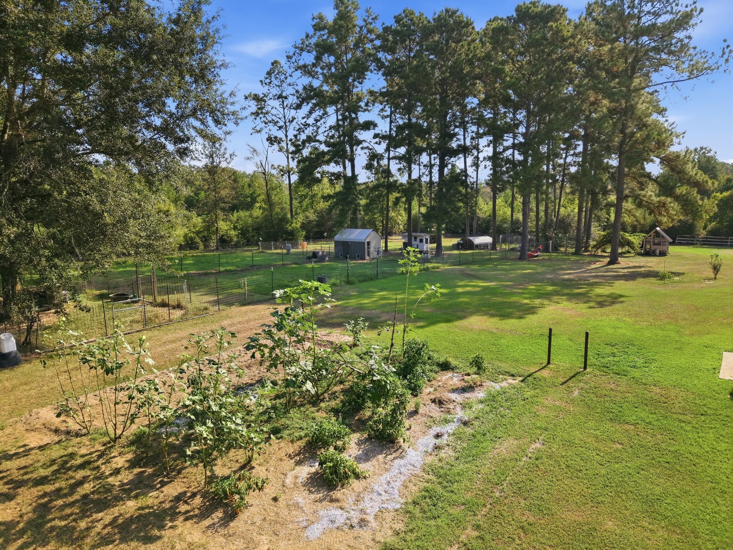 639 Patterson Road Longville, LA 70652 - Photo 10 of 45 Gallery Image 10