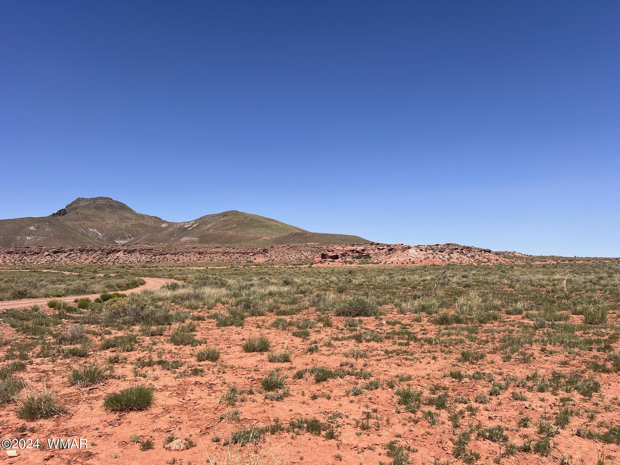 Tbd Old Ranch Road Woodruff, AZ 85942 - Photo 15 of 23