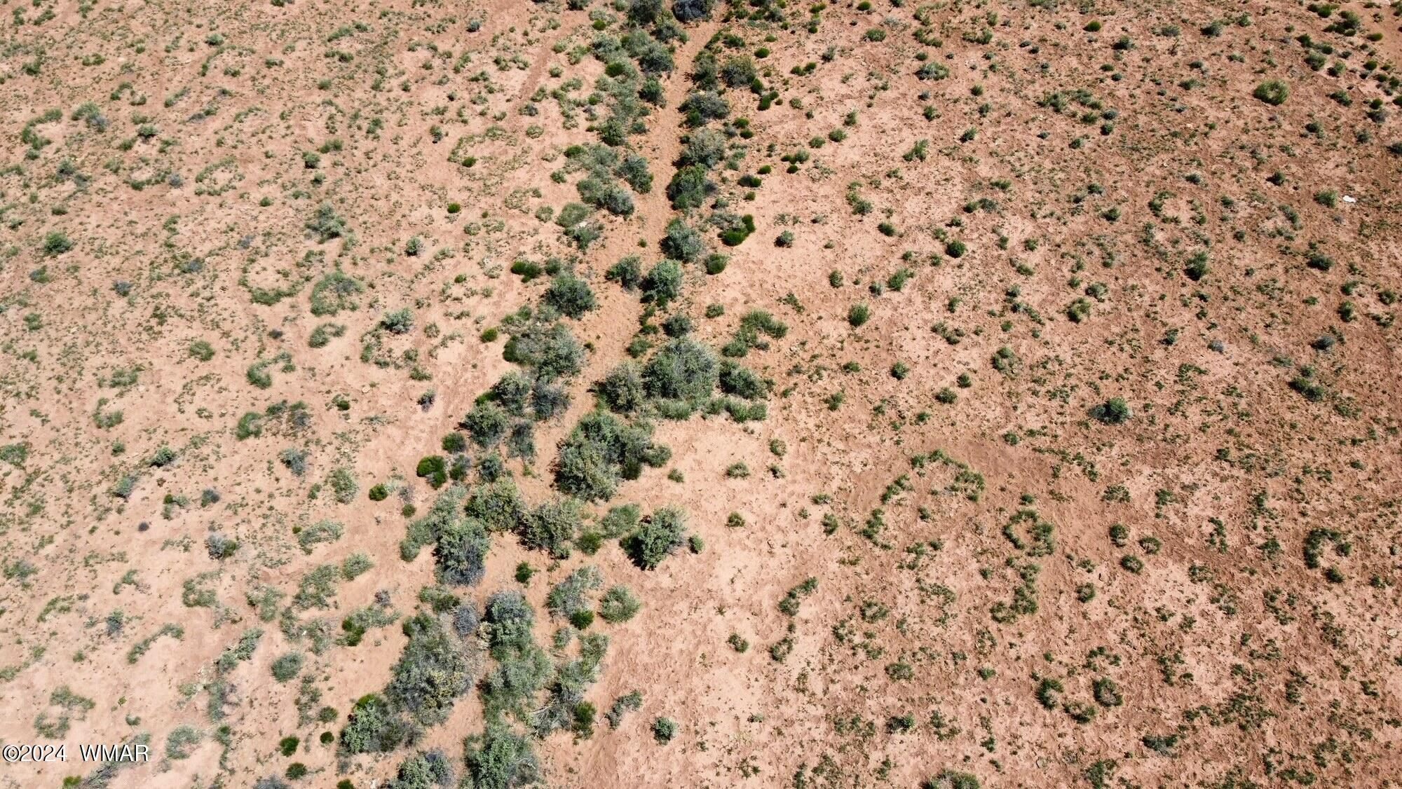 Tbd Old Ranch Road Woodruff, AZ 85942 - Photo 5 of 23