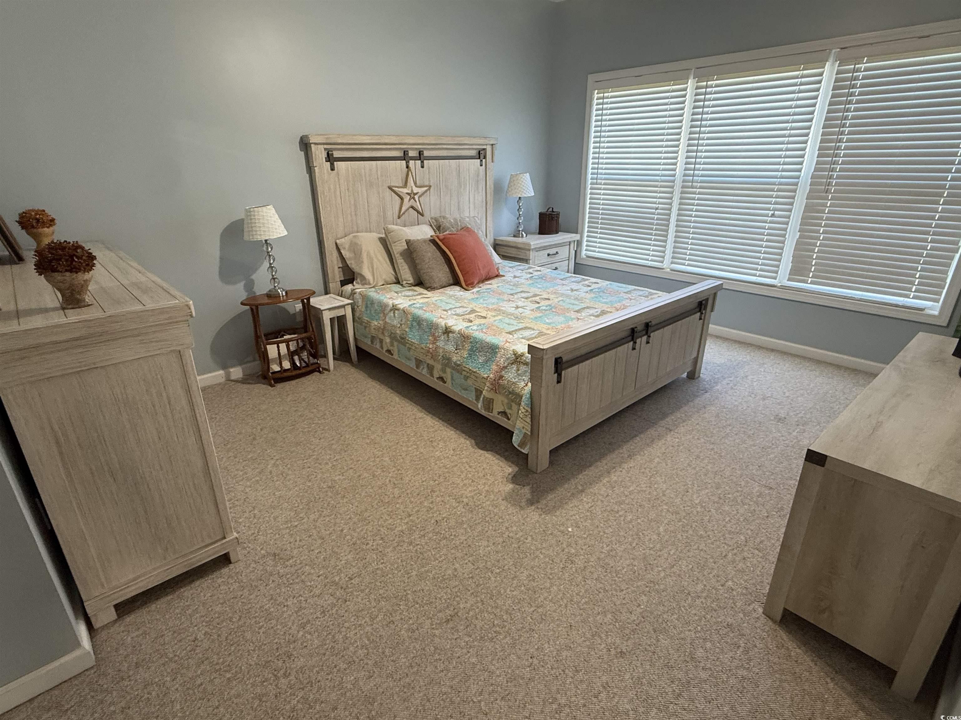5858 Longwood Drive, Unit #204 Murrells Inlet, SC 29576 - Photo 9 of 13 Bedroom featuring light carpet and baseboards
