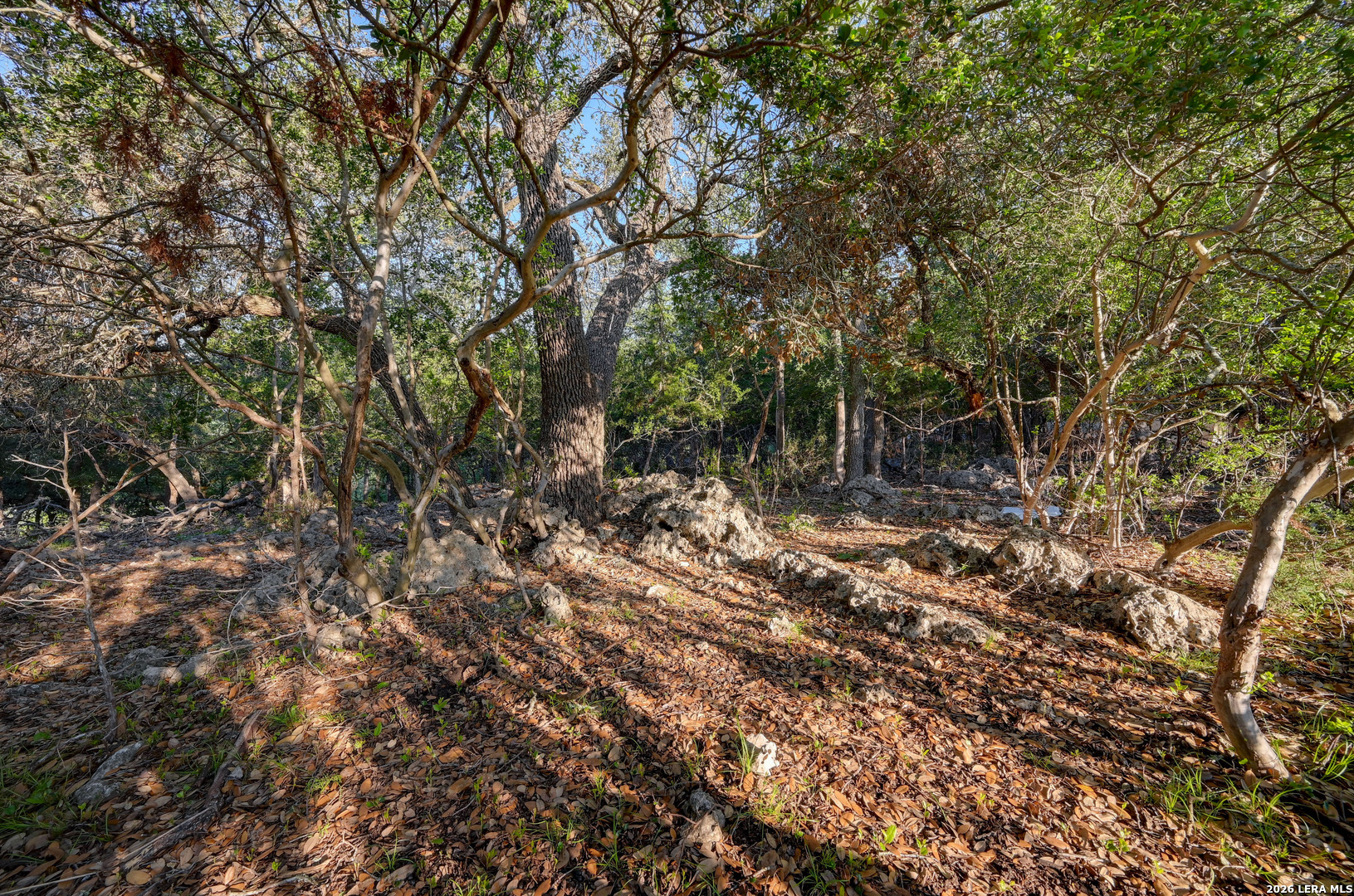 315 Rittimann Road Spring Branch, TX 78070 - Photo 9 of 51