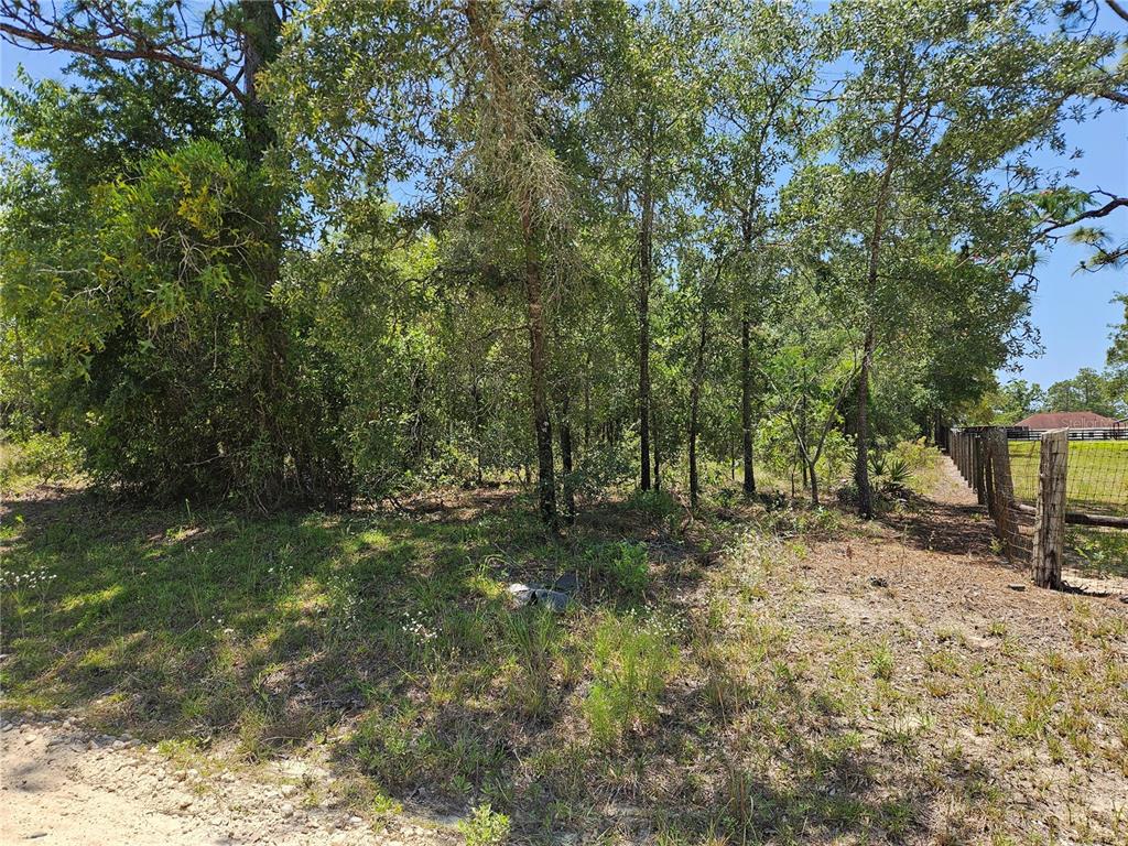 Tbd Southeast 25 Street Morriston, FL 32668 - Photo 1 of 1 a fire hydrant in the middle of a field