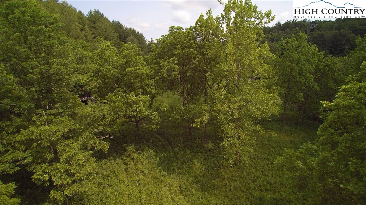 Red Hawk Road Mouth Of Wilson, VA 24363 - Photo 15 of 35 Gallery Image 15