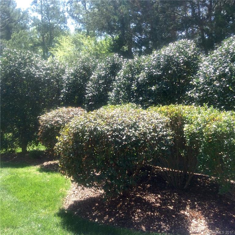 882 Platinum Drive Fort Mill, SC 29708 - Photo 19 of 23