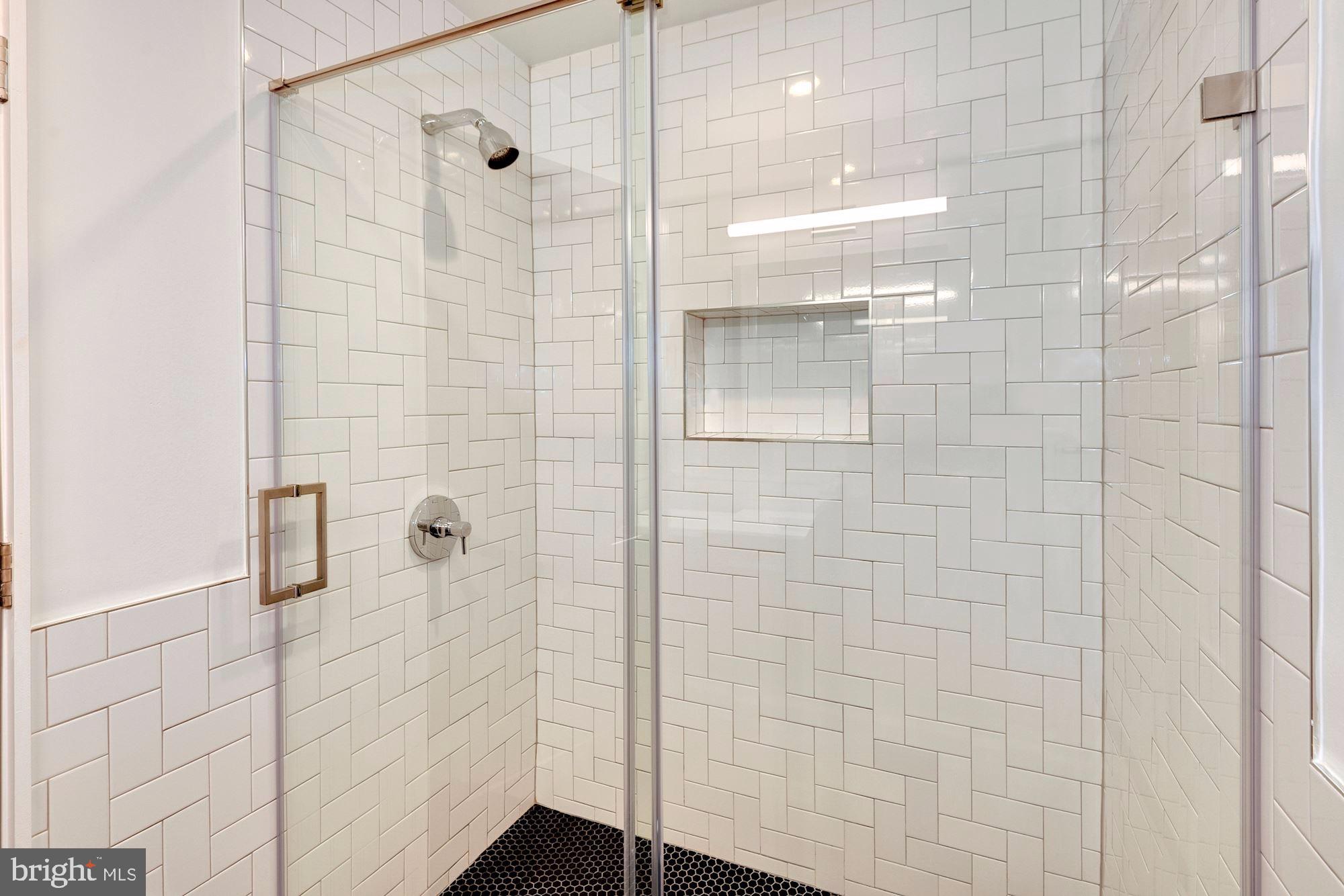 2701 Hume Drive, Unit PP1 Silver Spring, MD 20910 - Photo 9 of 26 Master Shower