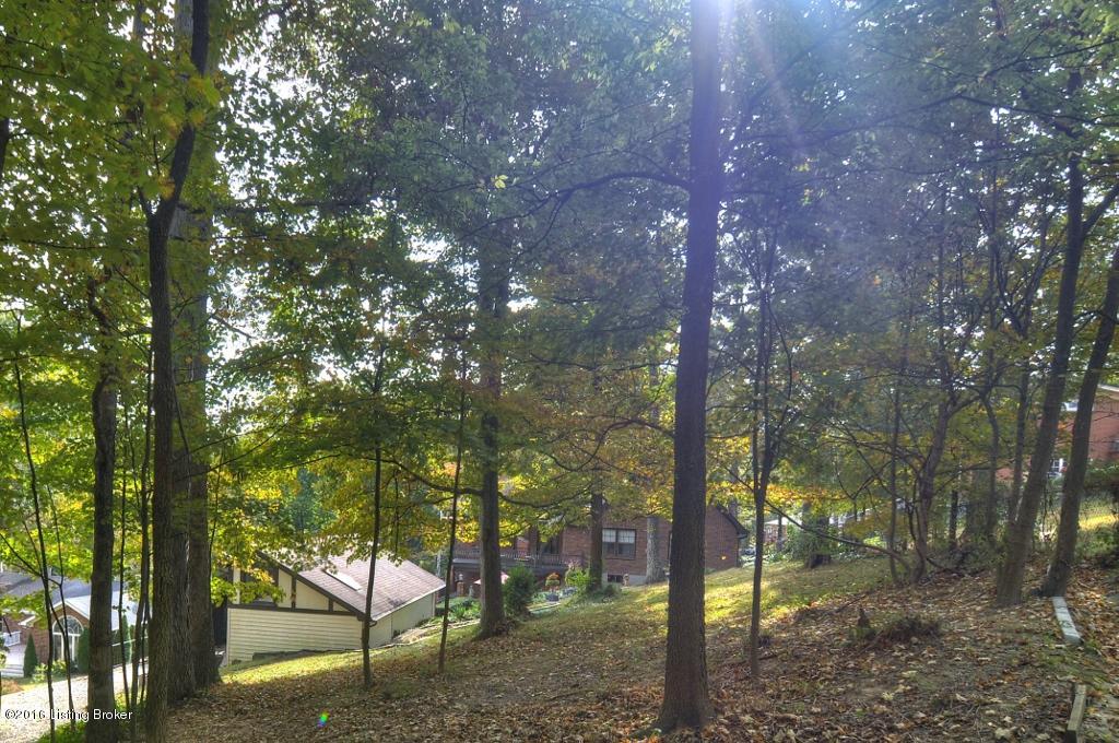 2709 Timber Hill Road Louisville, KY 40214 - Photo 10 of 52 DSC_0034_5_6 (1024x680)